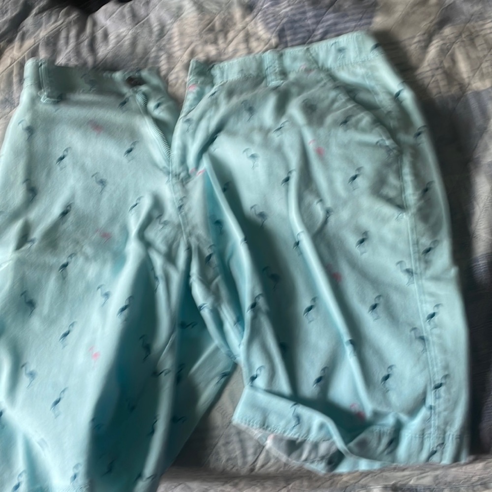 Men shorts (Flamingo Pattern)